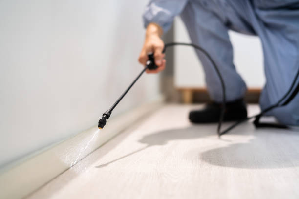 Bed Bug Pre-Treatment Preparation Assessment in Pine Crest