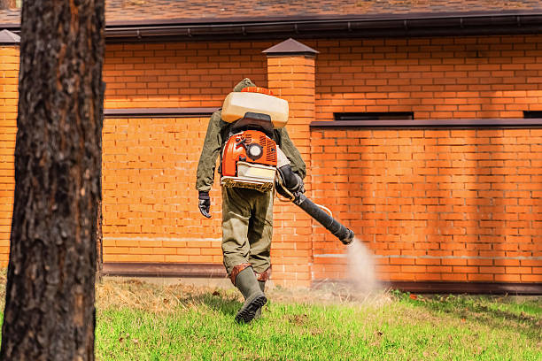 Bed Bug Clearance Verification and Documentation in Pine Crest